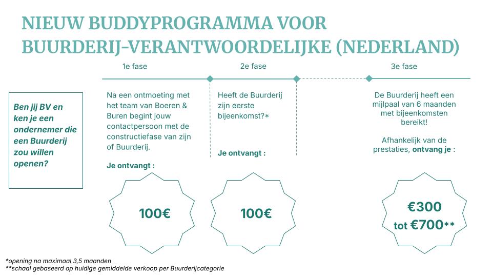 Buddy Nederland.jpg