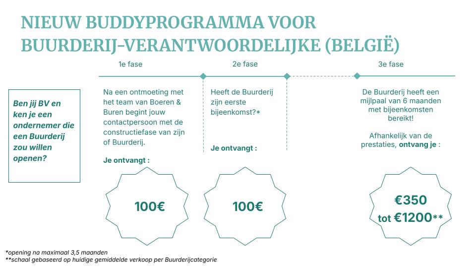 Buddy Vlaanderen.jpg